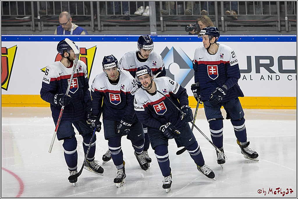 IIHF WM 2017, Schweden - Slowakei, 16.05.2017